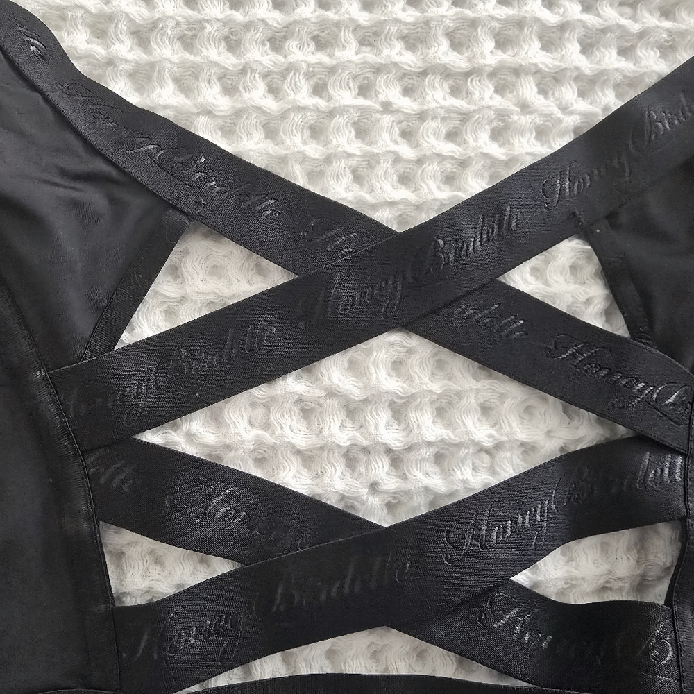 Honey🍯 Burdette NIB Essentials HTF Black 🖤 Corset, Size L - Picture 7 of 10